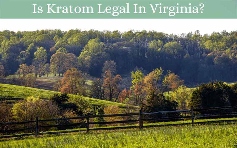 Is Kratom Legal In Virginia - by Oasis Kratom