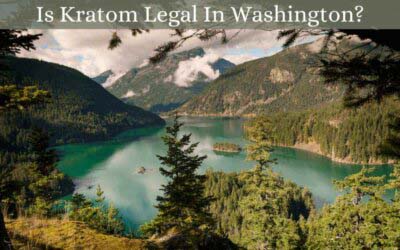 Is Kratom Legal In Washington - Oasis Kratom
