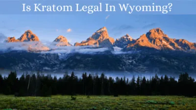 Is Kratom Legal In Wyoming? 5 Is-Kratom-Legal-In-Wyoming-Oasis-Kratom