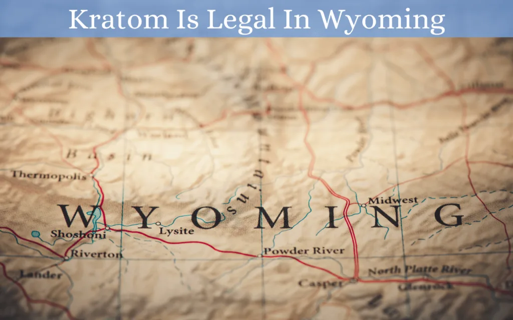 Is Kratom Legal In Wyoming? 7 Is Kratom Legal In Wyoming