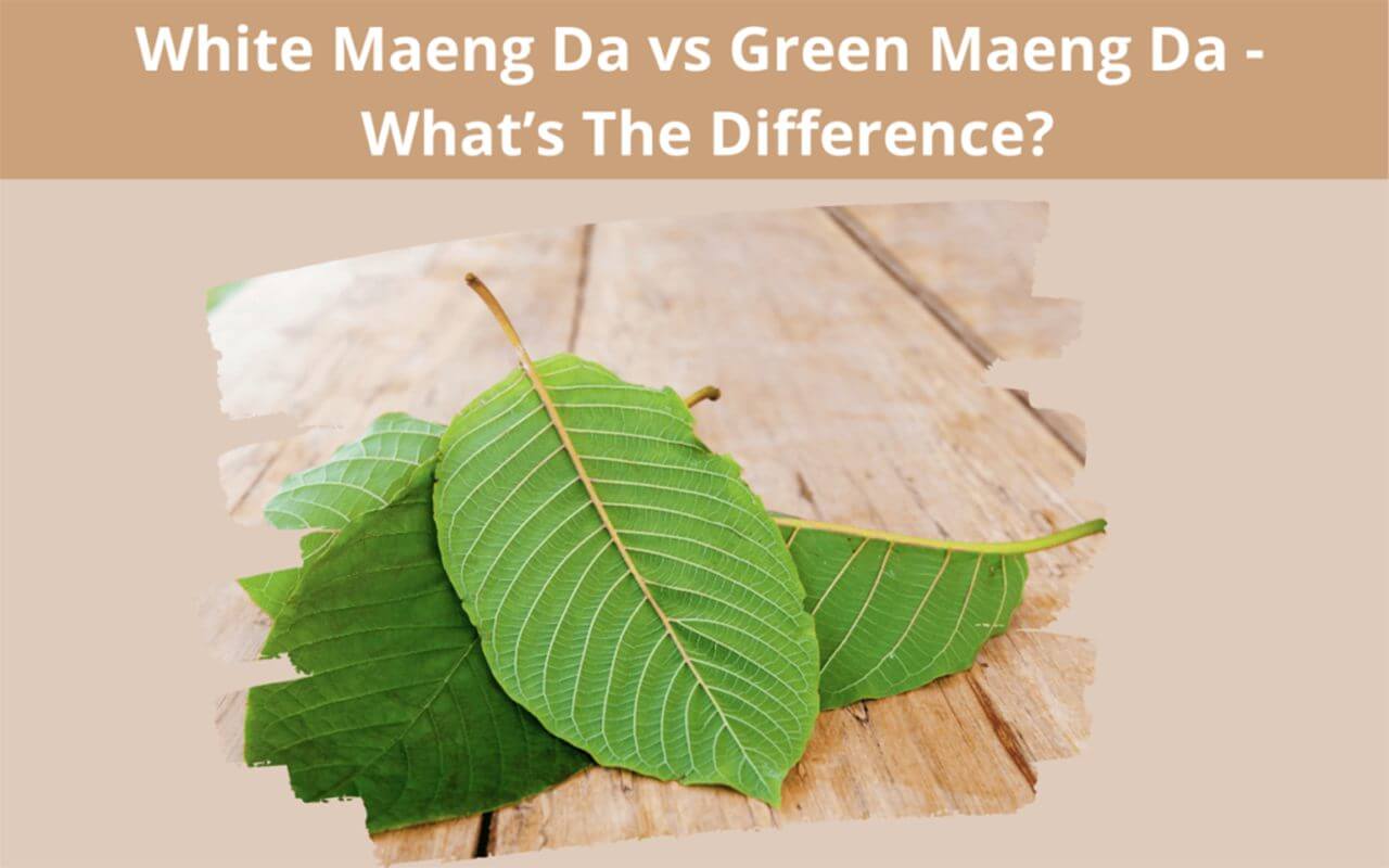 White Maeng Da vs Green Maeng Da-Oasis Kratom