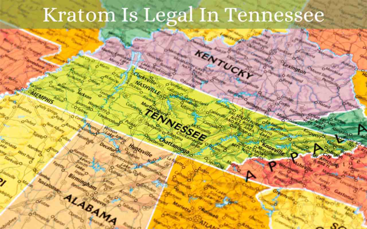 kratom is legal in tennessee oasis kratom 1