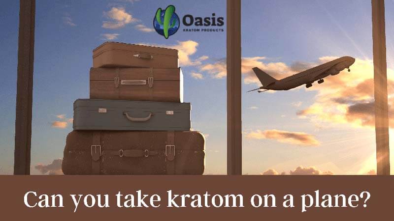 Can You Take Kratom On A Plane - by Oasis Kratom