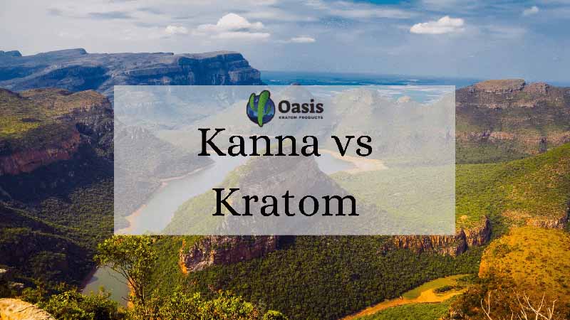 Kanna vs Kratom - by Oasis Kratom