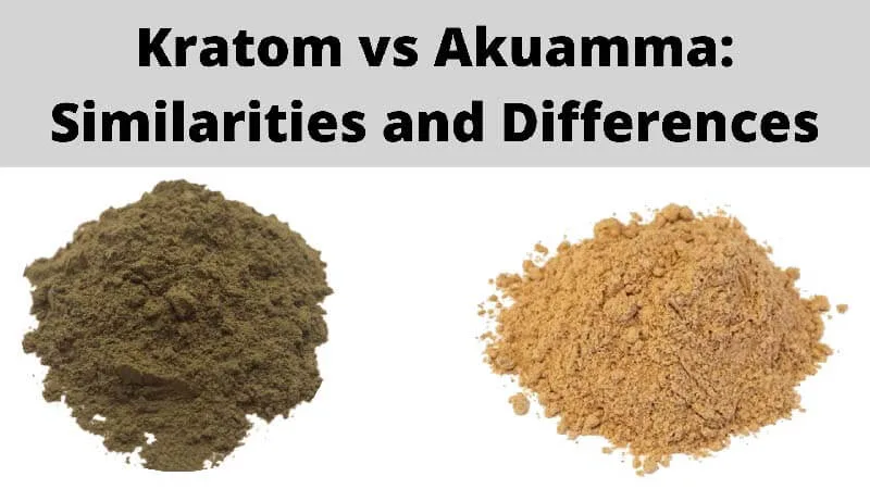 Kratom vs Akuamma: Similarities and Differences 4 Kratom vs Akuamma- Similarities and Differences - by Oasis Kratom