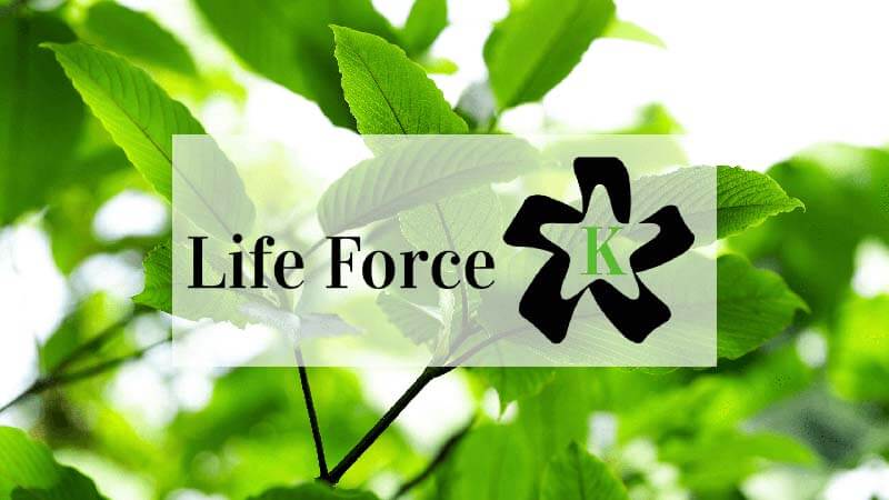 Life Force Kratom Vendor Review - by Oasis Kratom