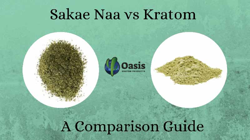 Sakae Naa vs Kratom- A Comparison Guide by Oasis Kratom