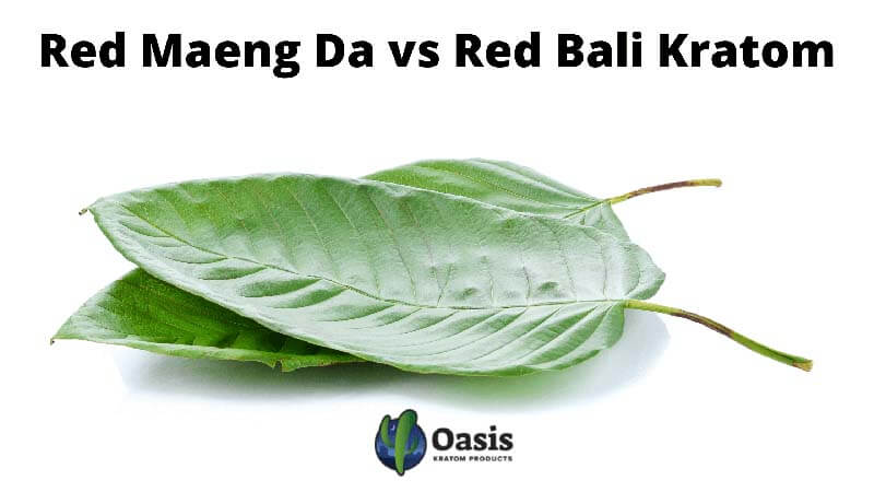 Red Maeng Da vs Red Bali Kratom - Comparison by Oasis Kratom