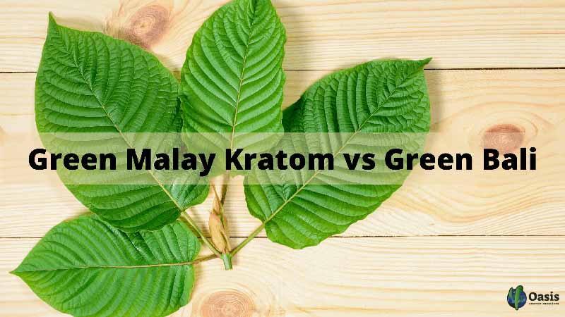 Green Malay Kratom vs Green Bali - Oasis Kratom