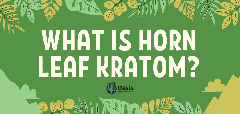 What Is Horn Leaf Kratom?