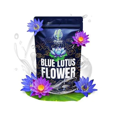 Blue Lotus Flower 2 Blue Lotus Flower