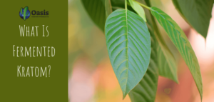 Fermented Kratom