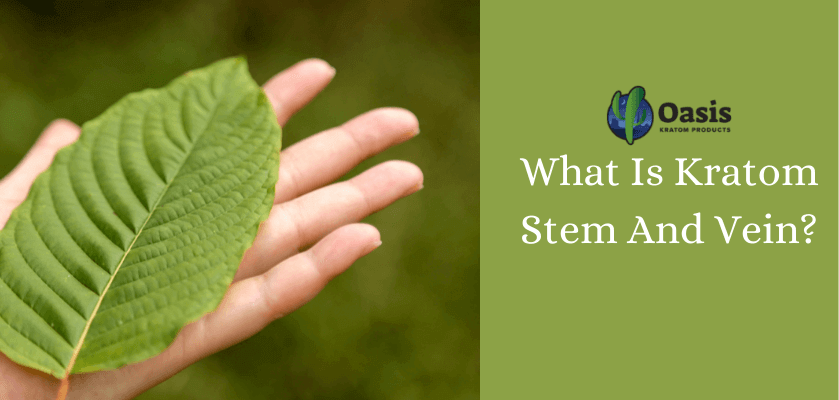 What Is Kratom Stem And Vein?