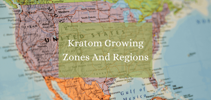 Kratom Growing Zones And Regions