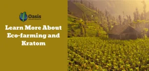Learn More About Eco-farming and Kratom