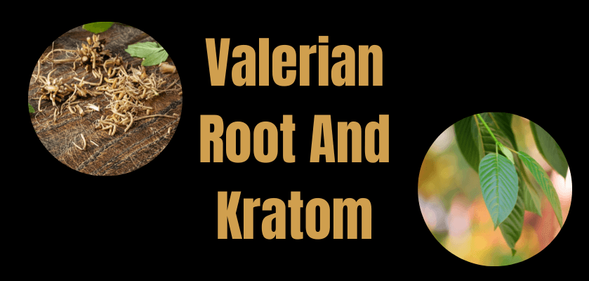 valerian root and kratom