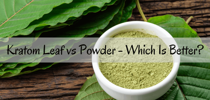 Kratom Leaf vs Powder