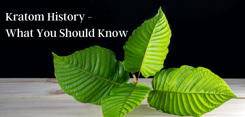 Kratom History