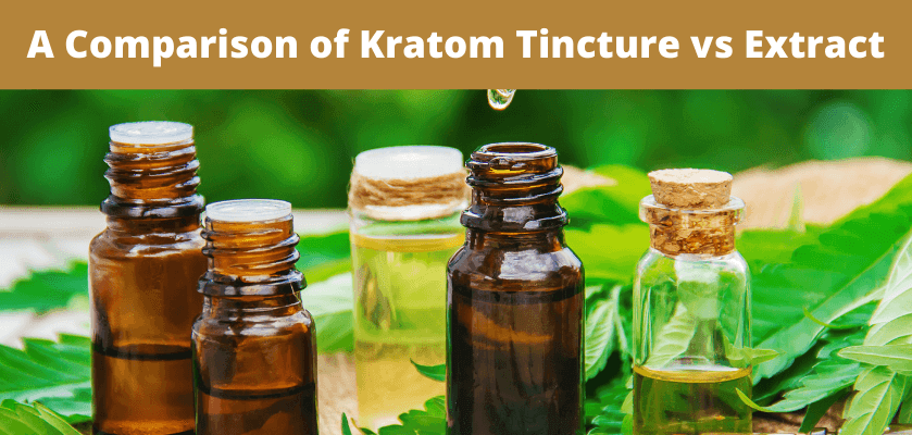 Kratom Tincture vs Extract