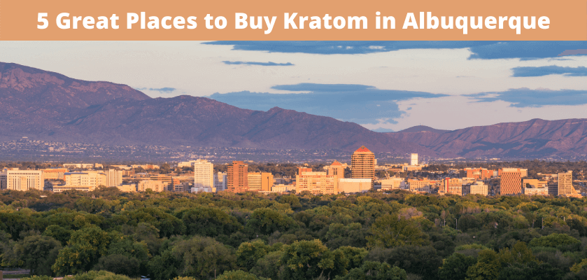 5 Great Places to Buy Kratom in Albuquerque