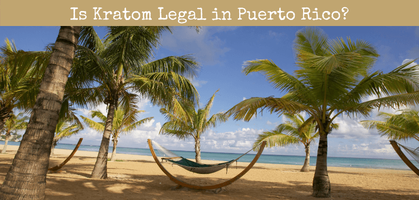 Is Kratom Legal in Puerto Rico?