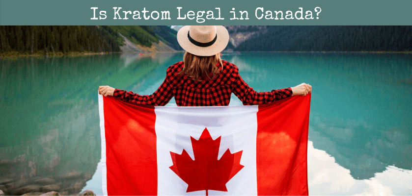 Is Kratom Legal in Canada?