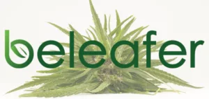 Beleafer