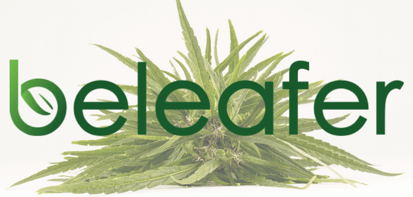 Beleafer