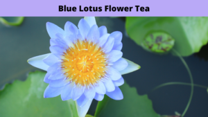 Blue Lotus Flower Tea