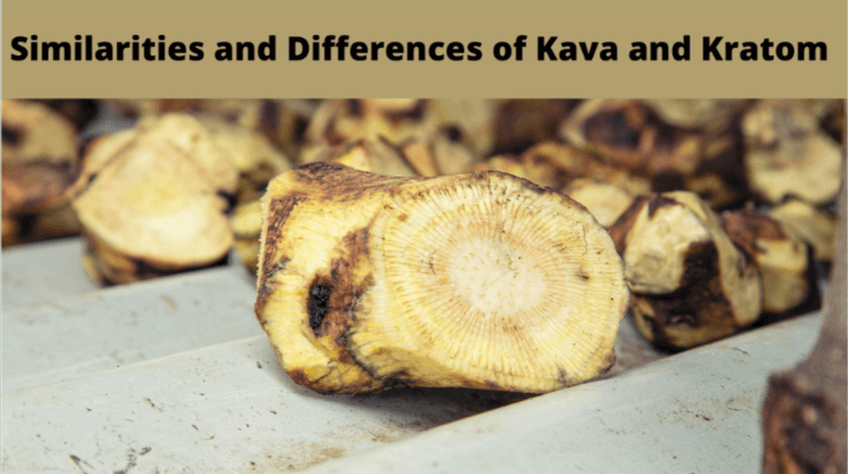 Kava and Kratom lava-kratom-drink