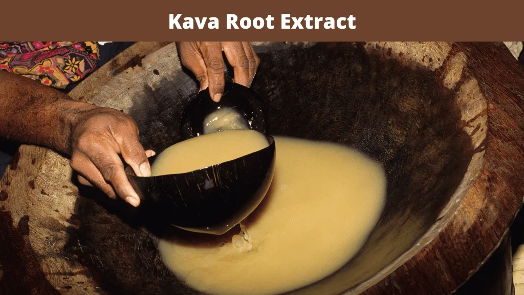 Kava Root Extract