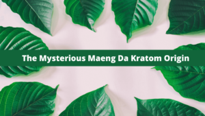 Maeng Da Kratom Origin