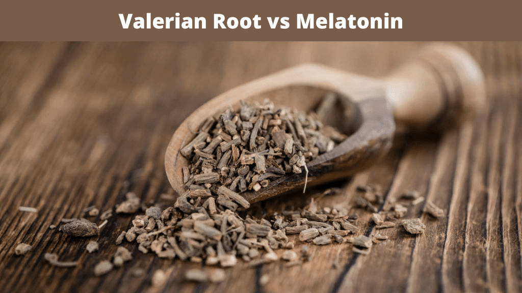valerian root vs melatonin