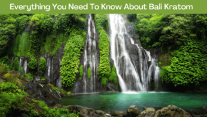 Bali Kratom