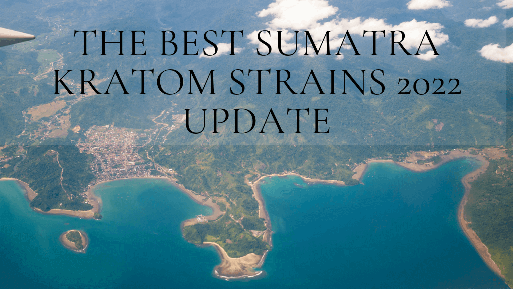 Best Sumatra Kratom Strains