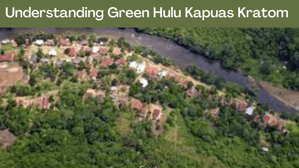 Understanding Green Hulu Kapuas Kratom