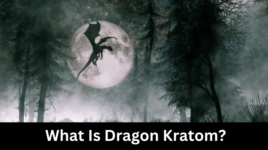What Is Dragon Kratom?