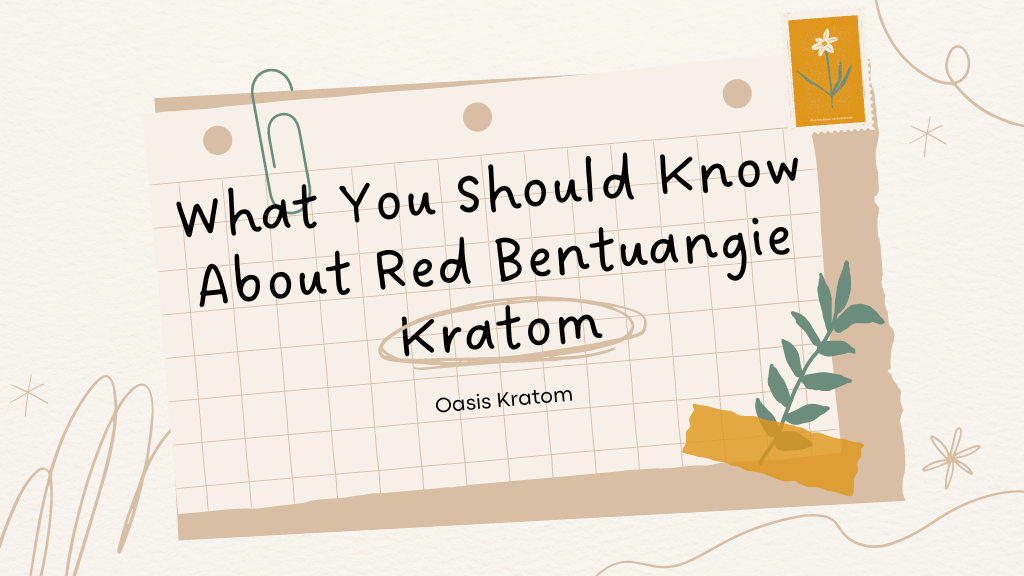 What You Should Know About Red Bentuangie Kratom