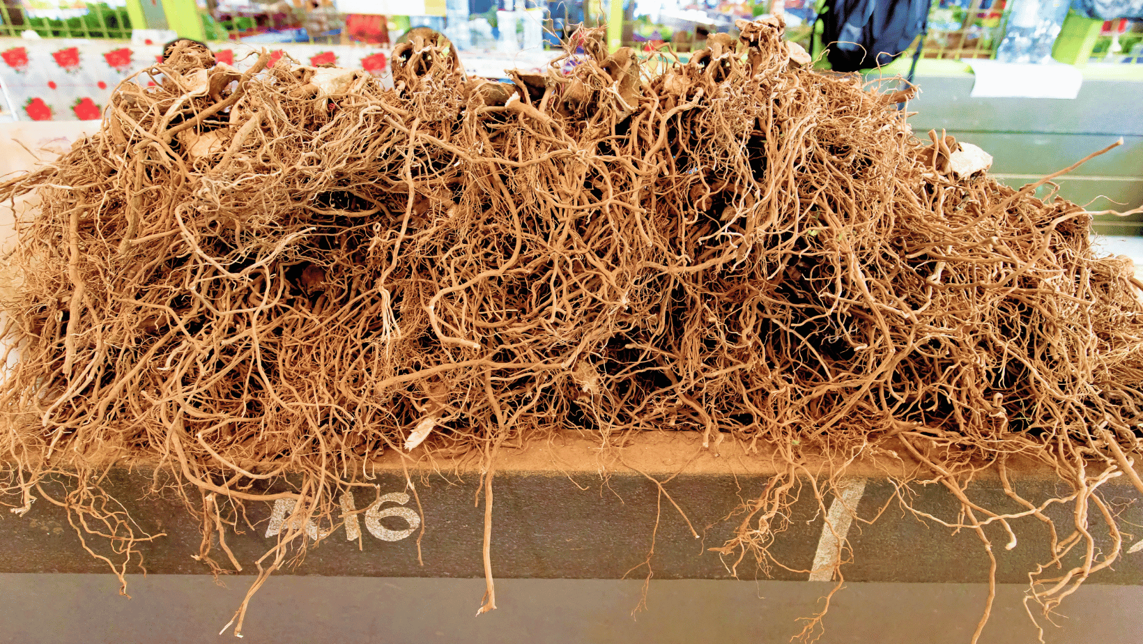 5 Quick and Easy Ways to Make Kava Tea A Beginners Guide