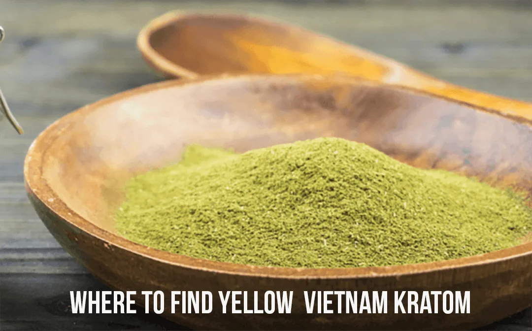 where to find yellow vietnam kratom