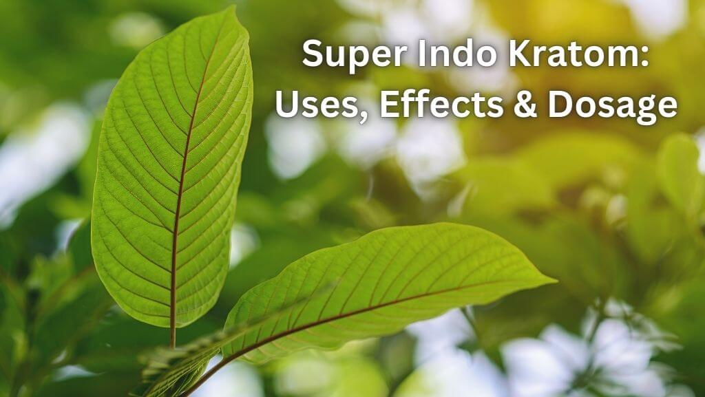 Super Indo Kratom Uses, Effects & Dosage