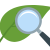 Finding Kratom Capsules Near Me: 5 Essential Things To Know 2 Kratom Capsules Quality