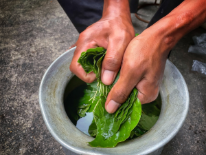 Kratom Shots Near Me