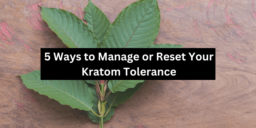 Manage and Reset Your Kratom Tolerance