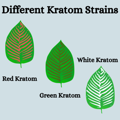 Different Kratom strains