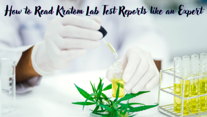 how to read kratom lab test reports like an expert