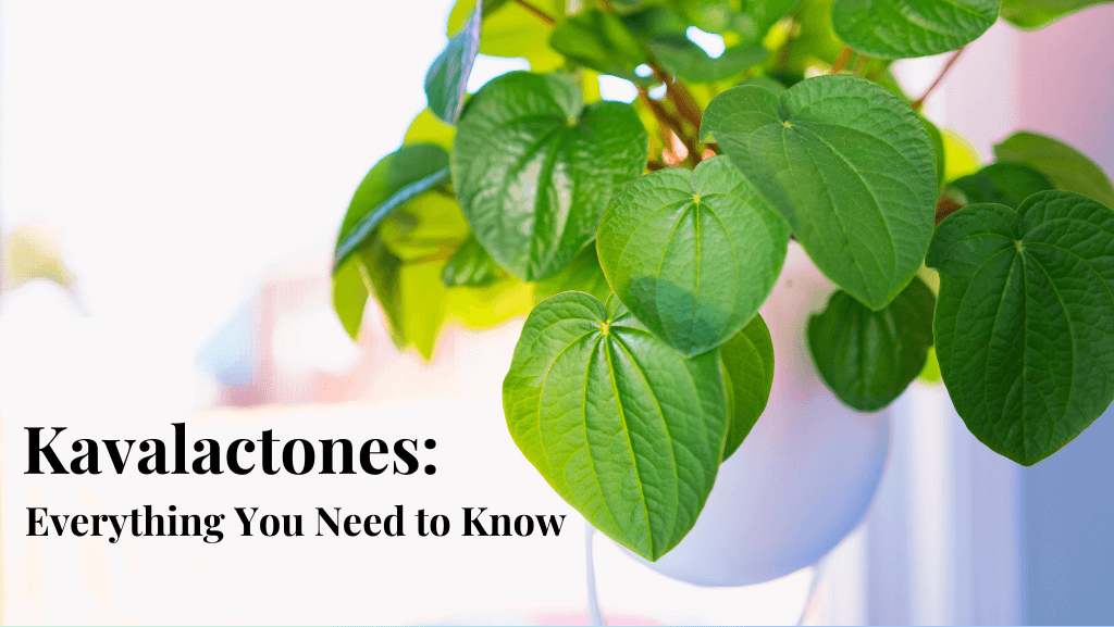 Kavalactones