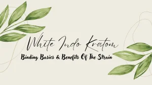 White Indo Kratom