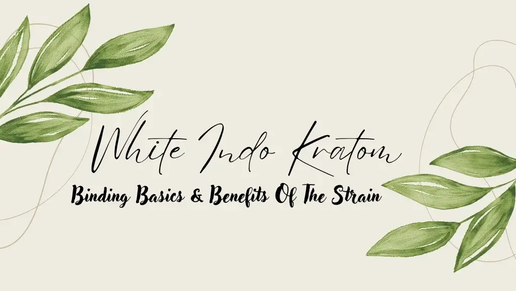 White Indo Kratom