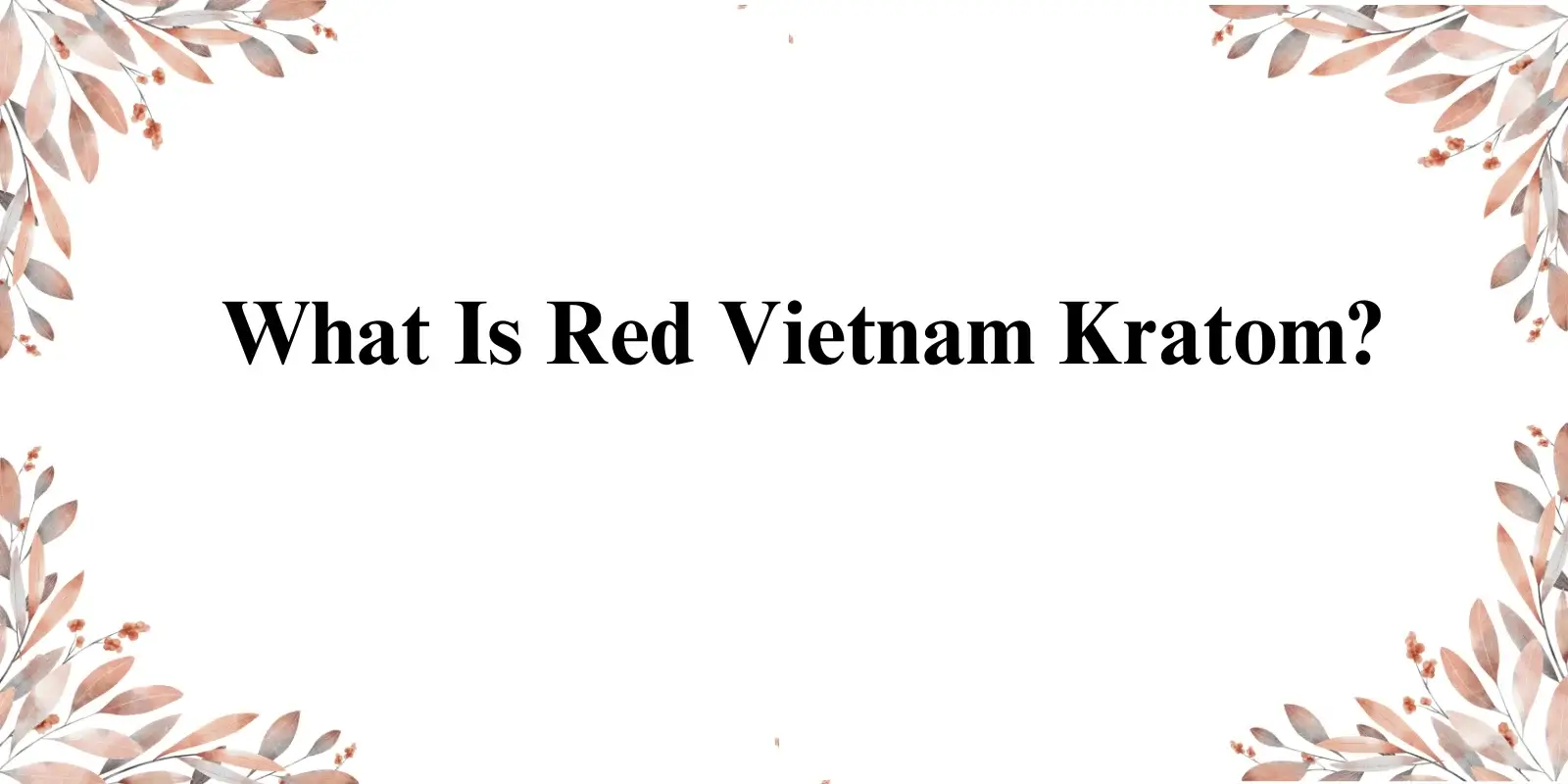 red vietnam kratom